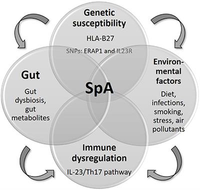 Spondyloarthritis: How far are we from precision medicine?